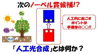 【次期ノーベル賞候補】脱炭素社会へのカギを握る人工光合成とは何かをわかり易く解説【酸化還元】【水の電気分解】 [upl. by Hutt]