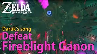 EX Champion Daruks Song  How to defeat Fireblight Ganon [upl. by Timi]