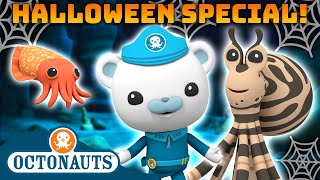 ​Octonauts  🎭 Trick or Treat Camouflage Creatures 👻  🎃 Halloween  60 Mins Compilation [upl. by Sprage]