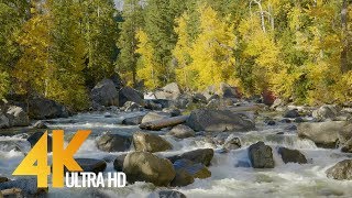 4K River Flowing  Nature Scene with Water Sounds  Wenatchee River  Trailer [upl. by Alegnaoj122]