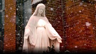 Immaculate Mary w lyrics  Catholic Hymn [upl. by Shiekh]