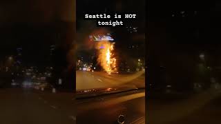 Light up the night night seattle fire tree [upl. by Houser]