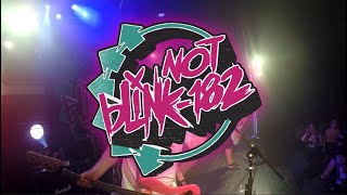 Not Blink182  Dammit  July 2024 [upl. by Melamie]