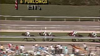 1986 Breeders Cup Turf [upl. by Hsatan]