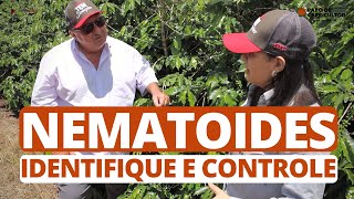 Nematoides identifique e controle [upl. by Kimmie]