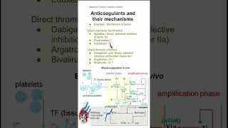 Anticoagulants and their mechanisms [upl. by Adon702]