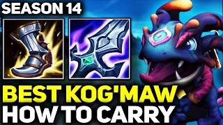 How to Carry 1v9 KogMaw Gameplay  RANK 1 BEST KOGMAW IN THE WORLD  Season 14 League of Legends [upl. by Evelunn]