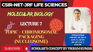 Chromosomal Packaging Chromatin  Packaging Ratio  30nm Fibre [upl. by Langham]