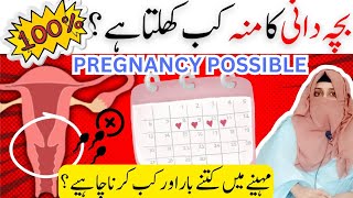 Fertile Period Kia Hota he  Bachedani Ka Mun Kab Kab Khulta he  Egg Kab Nikalta he Pregnancy k Lia [upl. by Ney]