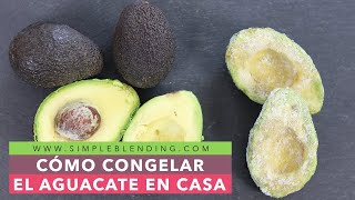 CÓMO CONGELAR EL AGUACATE EN CASA  Congelación casera del aguacate [upl. by Loram]