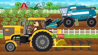 Yellow Tractor and Blue Combine Harvester  Planting and Harvesting Eggplants  Bear Farm Animated [upl. by Keifer471]