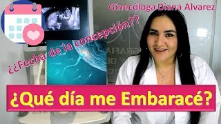 ¿QUÉ DÍA ME EMBARACÉ ¿CÓMO CALCULAR LA FECHA DE CONCEPCIÓN POR GINECOLOGA DIANA ALVAREZ [upl. by Elspeth337]