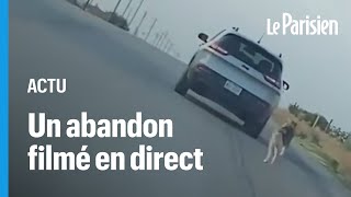 Ce chien court après la voiture de son maître qui vient de labandonner avant dêtre sauvé [upl. by Nanete]