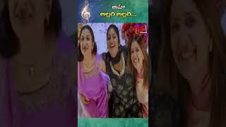 అహ అల్లరి అల్లరి  Aha Allari Allari Song  Sangeetha  Khadgam Movie shorts youtubeshorts [upl. by Thisbe914]