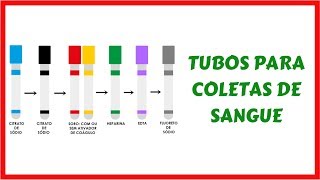 Tubos para Coleta de Sangue [upl. by Gem]