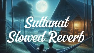 Haye O Raba  Sultanat  Drama Ost HUM TV Slowed And Reverb Video Song [upl. by Ecnaled]