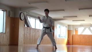 JKA Hangetsu 41 moves by Naka Sensei [upl. by Pierce214]