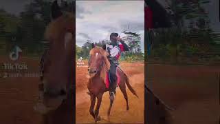 Horseback archery recap🐎🏹 horse horseriding horsebackarchery berkuda berkudaitusunnah [upl. by Ahsilram]