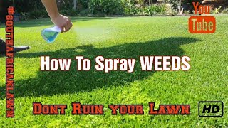 How to Spray Herbicide Easily on Lawns  WEED CONTROL For beginners  Before and After Results [upl. by Farrah]