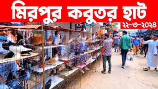 মিরপুর কবুতর হাট ২২৩২০২৪  kobutor hat 2024  pigeon market in bangladesh  Mirpur kobutor hat [upl. by Dnaltroc]