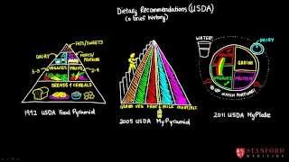 Child Nutrition  USDA nutrition guidelines [upl. by Lehsar657]