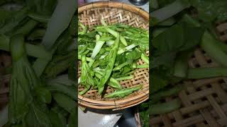 Washing vegetables villagelife villagecooking villagefood cooking cookingfood youtubeshorts [upl. by Gnilrac]