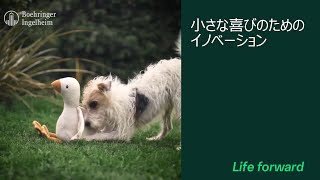 【小さな喜びのためのイノベーション】Life Foward [upl. by Aicatsanna]