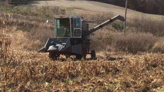 Gleaner K with 2 Row Head in 150 Bushel Corn [upl. by Hull917]