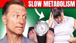 The Best Way to Fix a Slow Metabolism – Dr Bergs Expert Advice [upl. by Spearman]