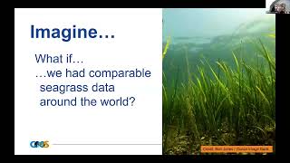 Seagrass Synergy Collaborate for Global Observing and Understanding [upl. by Junna]