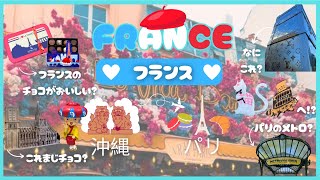 🇫🇷【日仏フランスの旅】Couple francojaponais vlog Franceフランスに行ってきます！♡ [upl. by Sirromed]