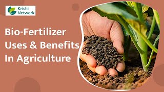 What are BioFertilizer and Its Uses  Organic Farming  Krishi Network [upl. by Mcdowell]