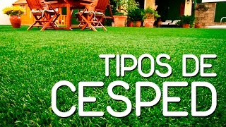 Aprende como cultivar cesped [upl. by Monteith879]