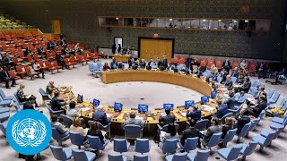 Latest developments in Somalia  Security Council [upl. by Sculley]