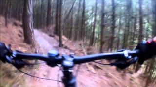 Cannock Chase MTB Monkey Trail  Le Singe Noir [upl. by Henley]