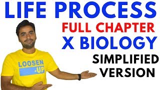 Life Processes Full Chapter 6  CBSE Class 10 Science  Hindi Explanation [upl. by Garrison320]