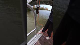 Peche a laimantla vidéo longue est dispo sur HTR Fishingpechealaimant fishingmagnet shorts [upl. by Varden]