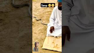 namaz k dauran sanp prayer snake [upl. by Vincelette]