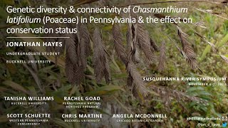 Genetic Diversity amp Connectivity of Chasmanthium latifolium in Pennsylvania amp effect on conservation [upl. by Llednor766]