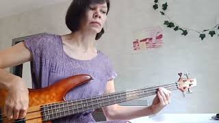 quotBreaking the girlquot RHCP bass cover [upl. by Eislek880]