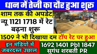 पीबीआर धान के भाव 7 दिसंबर 2024  dhan ke bhav  1121 dhan ke bhav  basmati dhan mandi bhav [upl. by Rawna]