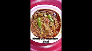 Mourola macher jhal মৌরলা মাছের ঝাল Grandmas recipe Mourola jhal [upl. by Branch583]