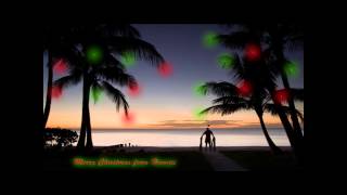 Winter Wonderland  Hawaiian Santa  The Makaha Sons Lyrics on descliption [upl. by Naahs]