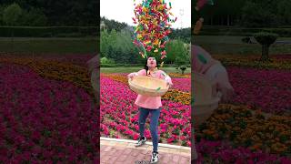 Lots of Sweet Candy 🍬🍬 Amazing Delicious Fruit Candy shorts satisfying youtubeshorts [upl. by Boris567]