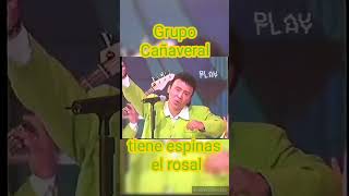 tiene espinas el rosal grupo cañaveral cumbia [upl. by Notyalc237]