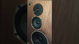 Celestion Ditton 22 Demonstrations [upl. by Atires958]