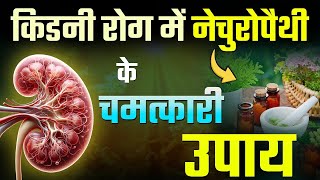 किडनी की बीमारी से निजात पाने के प्राकृतिक तरीके  Naturopathy Treatment for Kidney Failure Hindi [upl. by Enelak175]