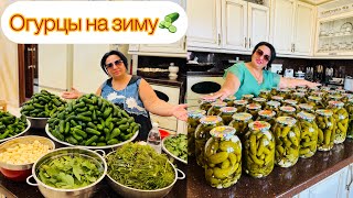 РЕЦЕПТ МАРИНОВАННЫХ ОГУРЦОВ 🥒 ОТ АРУСИ КАВКАЗ ВКУСНЫЕ ХРУСТЯЩИЕ МАРИНОВАННЫЕ ОГУРЧИКИ НА ЗИМУ [upl. by Eittam763]