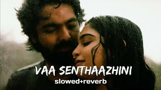 Vaa Senthaazhini  slowed  reverb  Adiye [upl. by Lyndel]