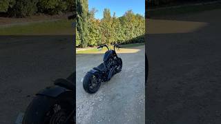 Custom Harley Davidson Streetbob  Bassani sweepers [upl. by Arielle]